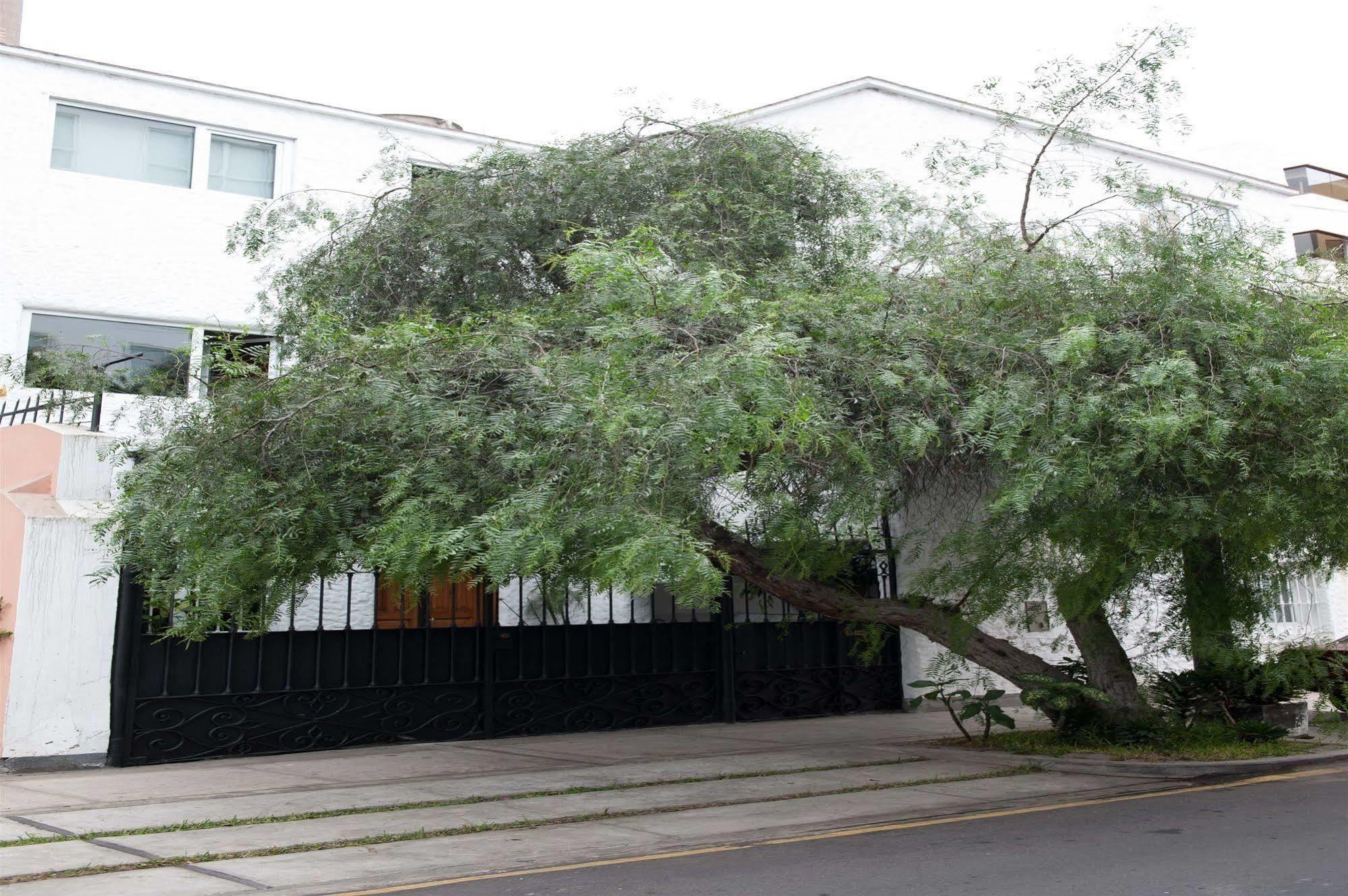Departamento Loft En Olivar De San Isidro Lima Buitenkant foto